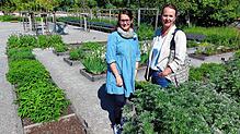 Carolin Graf (links) und Sandra Graßl-Caluk organisieren einen Reichenauer Klostermarkt in den neuen Klostergärten beim Münster. Ein ...