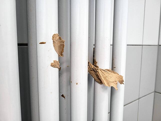 Fetzen von Toilettenpapier an den Heizungsrohren in einer eigentlich bereits gereinigten Toilette am FHG.