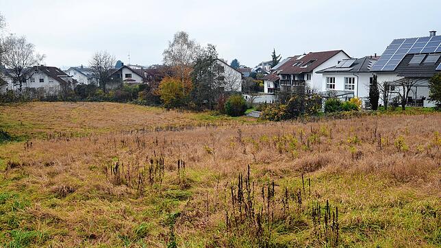 Auf diesem Gelände unterhalb der Ensisheimer Straße, zwischen der Wohnbebauung und der BZM-Sporthalle soll die dritte Markdorfer ...