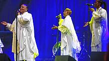 Sie haben beim Publikum im Gloria-Theater in Bad Säckingen für Begeisterungsstürme gesorgt: die &bdquo;Golden Voices of Gospel&ldquo;. ...