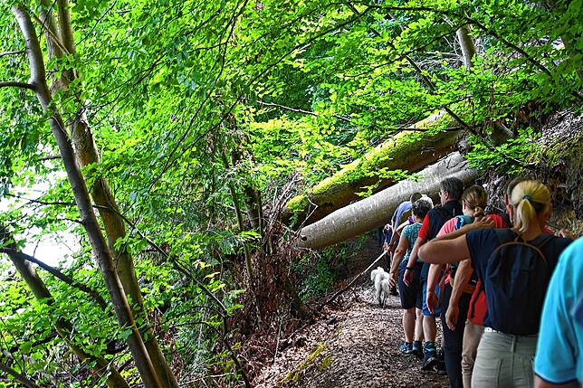 Bild 27: Wie läuft es sich von der Marienschlucht zum Burghof? Bilder einer Wanderung