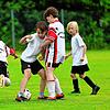 Bild :