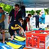 Bild :