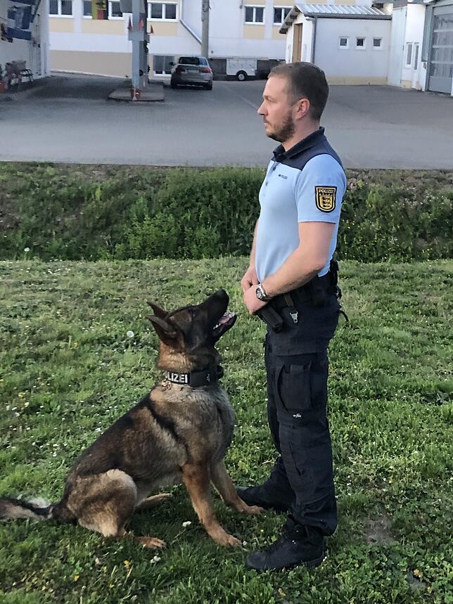 Bild 1: So lernen Polizeihunde, für unsere Sicherheit zu sorgen