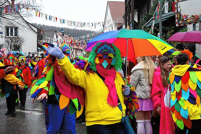 Bild 17: Seenarrentreffen Möggingen: Tausende feiern trotz Regen beim Festumzug!