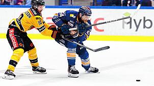 Trägt er nächste Saison das Wild Wings-Trikot ? Der Schwede Eric Martinsson (rechts). Foto: Imago