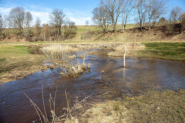 Auch oberhalb der Kläranlage schaffen Biber entlang des Mühlenweges neue Lebensräume.