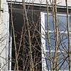 Wind und Wetter ausgesetzt: Teilweise stehen die Fenster des Heggbacher Hofes offen.