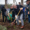 Ministerpräsident Winfried Kretschmann pflanzte während seines Besuchs in Ühlingen-Birkendorf eine Buche. Der Baum soll hier, im Gewann ...