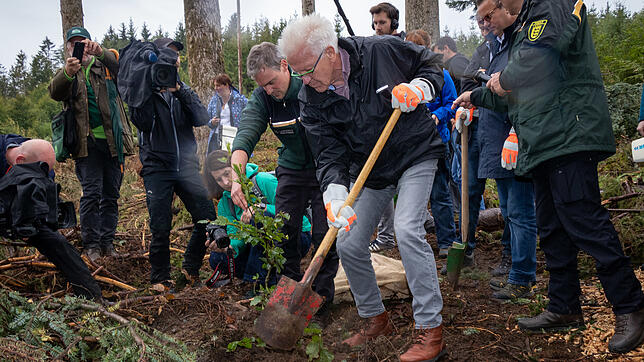 Ministerpräsident Winfried Kretschmann pflanzte während seines Besuchs in Ühlingen-Birkendorf eine Buche. Der Baum soll hier, im Gewann ...