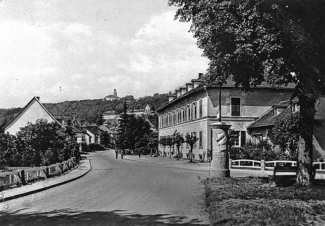 Blick in die Stühlinger Unterstadt mit dem Hauptsteueramt wie es sich 1950 darstellte. Vor dem Anwesen sorgten sechs Bäume für ein ...