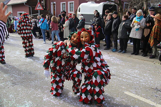 Bild 23: Bilder zum Narrentreffen in Schwerzen (1)