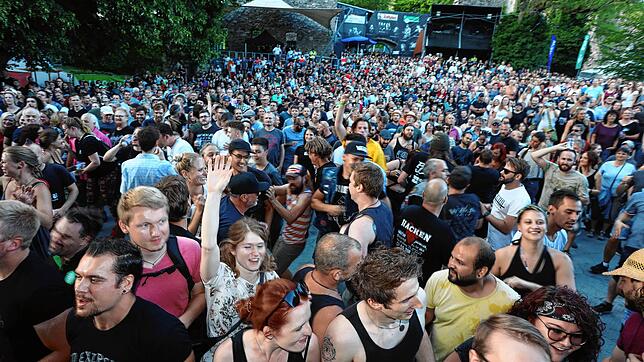 Bild 4: Flogging Molly erobert beim Hohentwielfestival die Herzen der Fans im Sturm (Teil II)