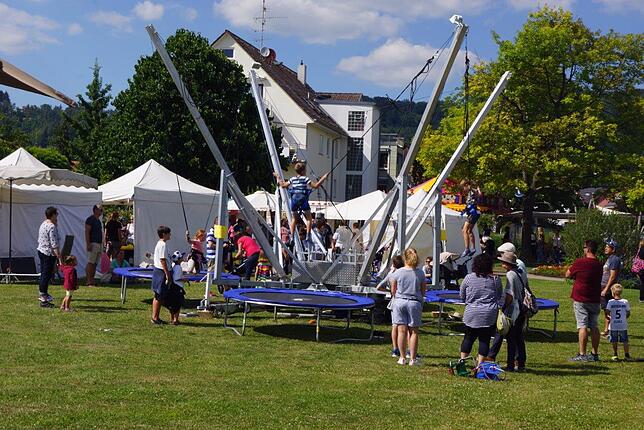 Bild 20: Bilder vom 38. Hafenfest in Ludwigshafen