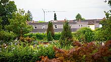 Mancherorts hat die Stadt schnell den Weg für neue Wohnungen frei gemacht: etwa zwischen Altem Bannweg und Hauptfriedhof, wo Unterkünfte ...