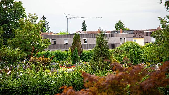 Mancherorts hat die Stadt schnell den Weg für neue Wohnungen frei gemacht: etwa zwischen Altem Bannweg und Hauptfriedhof, wo Unterkünfte ...