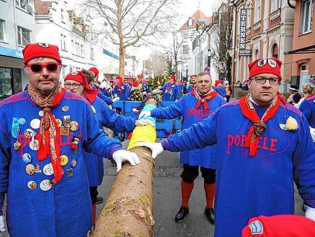 Lang ist er, sehr lang: Der Singener Narrenbaum wird von den Poppele durch die Innenstadt gezogen.