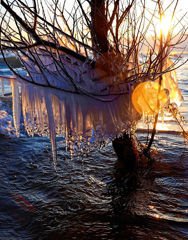 Der Frost und der Ostwind sorgten für bizzare Eisskulpturen am Bodenseeufer – hier zwischen Hörnle und Wasserwerk.
