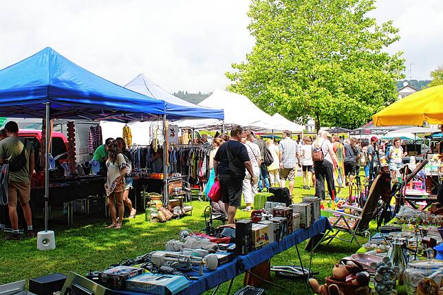 Bild 22: Bilder vom Hafenfest-Sonntag mit Turn-Show, Bürgermeister-Mutprobe und Flohmarkt (1)