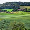 Auf dem Acker mit den deutlichen Traktorspuren und dem darüberliegenden hellgrünem, dreieckigem Feld werden bald Photovoltaik-Module ...