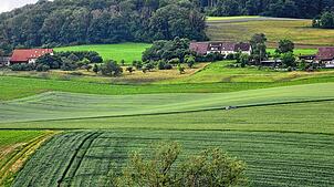 Auf dem Acker mit den deutlichen Traktorspuren und dem darüberliegenden hellgrünem, dreieckigem Feld werden bald Photovoltaik-Module ...