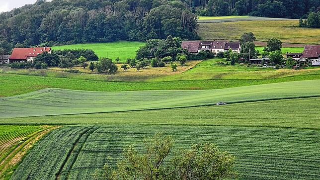 Auf dem Acker mit den deutlichen Traktorspuren und dem darüberliegenden hellgrünem, dreieckigem Feld werden bald Photovoltaik-Module ...