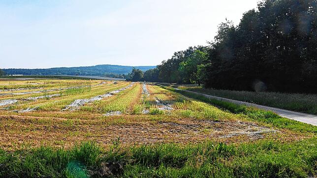 Auf diesem Grundstück neben der Stockacher Aach &ndash; rechts hinter den Bäumen auf dem Archivbild vom Mai &ndash; soll ein neues ...
