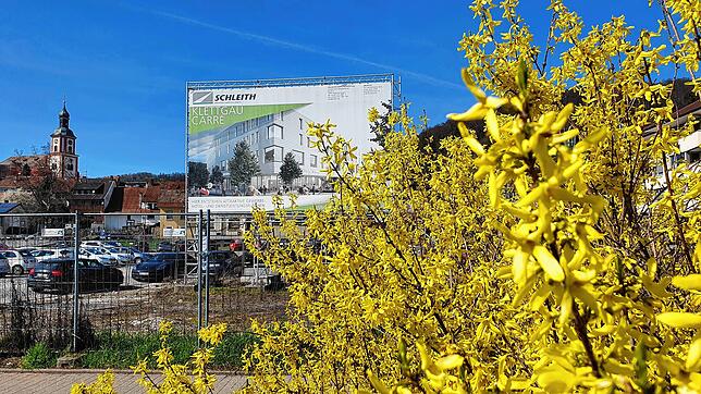 Ein Forsythien-Strauch blüht vor dem weiterhin als Parkplatz genutzten Gelände am Tiengener Sulzerring, wo das Klettgau-Carré entstehen ...