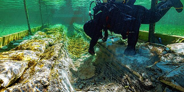 Bild 3: Über 4500 Jahre alter Einbaum: Das älteste Wasserfahrzeug des Bodensees wird im Seerhein bei Konstanz geborgen