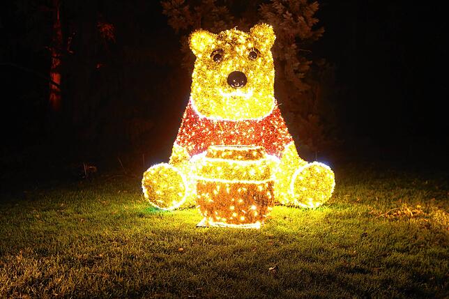 Bild 8: Insel Mainau: Bilder vom Start des Christmas Garden 2023 - Teil 1