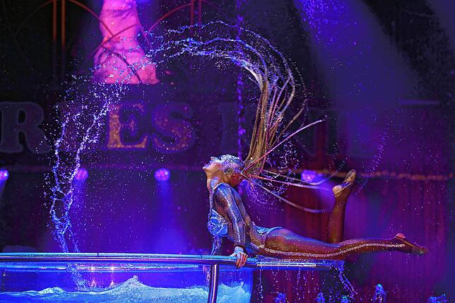 Über eine Million Zuschauer in zweieinhalb Jahren – das ist die stolze Bilanz des Zirkus Charles Knie.