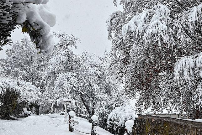Bild 30: Die schönsten Bilder vom verschneiten Markdorf