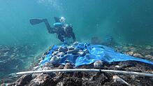 Seit 2015 forschen sowohl Deutsche als auch Schweizer Archäologen an mysteriösen Steinhügeln unter der Wasseroberfläche. Um sie zu ...