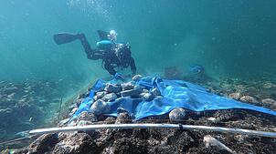 Seit 2015 forschen sowohl Deutsche als auch Schweizer Archäologen an mysteriösen Steinhügeln unter der Wasseroberfläche. Um sie zu ...