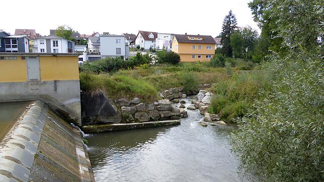 Die Wiederinbetriebnahme des Wasserkraftwerks in Mühlhofen &ndash; hier das Stauwehr &ndash; kann nach Ansicht von Ortsbaumeister Zieger ...