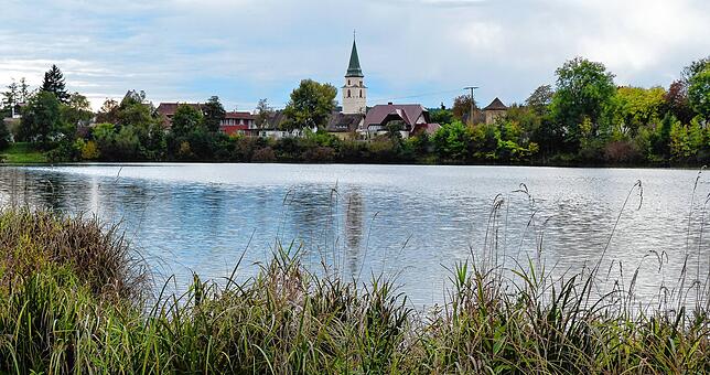Auch der Kofenweiher in Hüfingen, hier ein Archivbild aus dem Jahr 2017, ist für Hunde tabu.