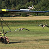 Auf dem Segelflugplatz von Stahringen bei Radolfzell: Hier geht Quetting mit den Gänsen in die Luft. Wie man sehen kann, haben sich die ...