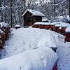 Winterruhe herrscht derzeit bei den Bienen in Albbruck-Birkingen.