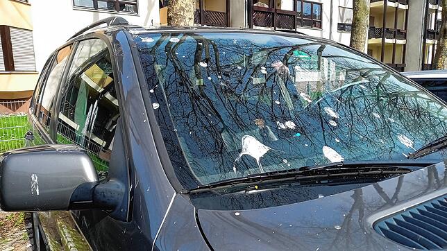 Kein schöner Anblick: Ein unter Krähennestern geparktes Fahrzeug in der Gießenstraße.