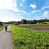 Hier sollen in den kommenden Jahren 6000 Menschen ihre neue Heimat finden. An der nördlichen Stadtgrenze oberhalb von Wollmatingen soll ...