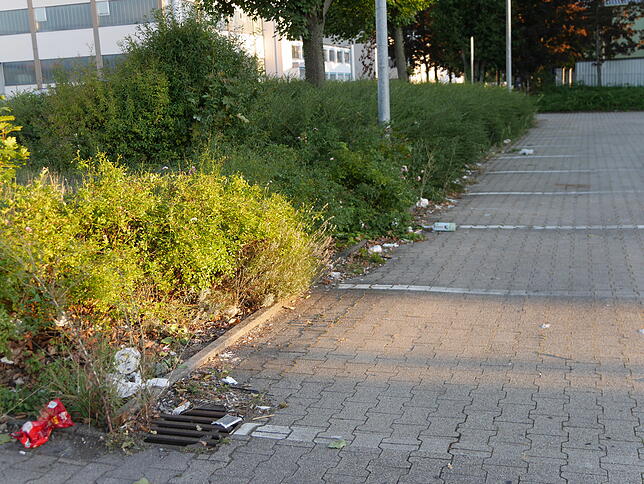 Zuviel Müll auf dem Gelände der leerstehenden Aldi-Filiale in der Glarnerstraße in Bad Säckingen verärgert Autofahrer und Passanten.