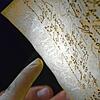 Mit Licht werden Wasserzeichen im Papier der Ratsprotokolle sichtbar. Das damalige Papier beziehungsweise Pergament hatte Wasserzeichen ...