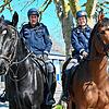 Imposante Erscheinungen: Polizeioberkommissar Walter Horländer und Polizeiobermeisterin Lisa Pscheidl auf ihren Pferden Vinzenz und ...
