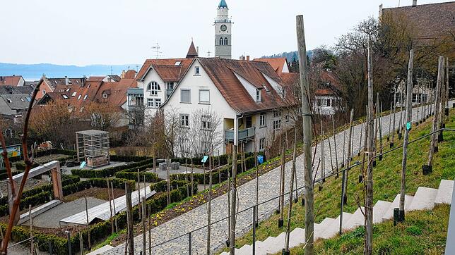 Von der neu angelegten kleinen Weinbergsteillage schweift der Blick über die Altstadtdächer auf das Münster. Links die luftige Lounge ...