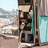 Ein Caravan auf dem Campingplatz Bruderhofer. Drei der restaurierten Oldtimer sind für Mensch und Hund reserviert.