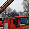 Die Radolfzeller Feuerwehr holt mit der Drehleiter Katze Ida vom Baum.
