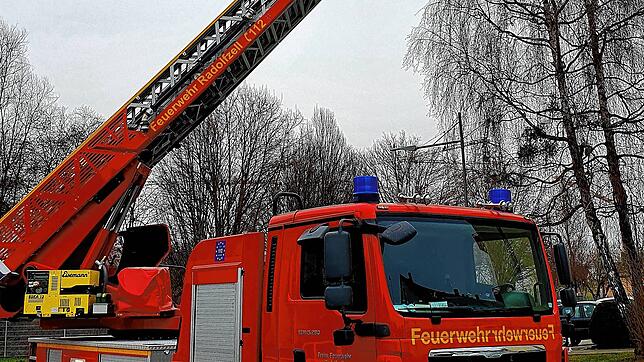 Die Radolfzeller Feuerwehr holt mit der Drehleiter Katze Ida vom Baum.