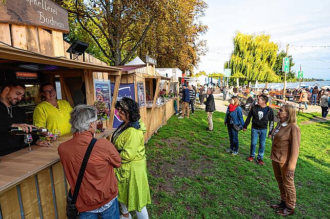 Bild 12: Ausgelassene Stimmung beim Radolfzeller Weinfest "Weinwiese" am Konzertsegel