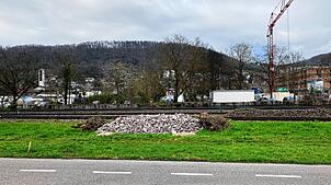 Für den Ausbau der Hochrheinbahn finden entlang der Strecke Ausgleichsmaßnahmen statt. Dabei werden in Form von Steinhaufen oder ...