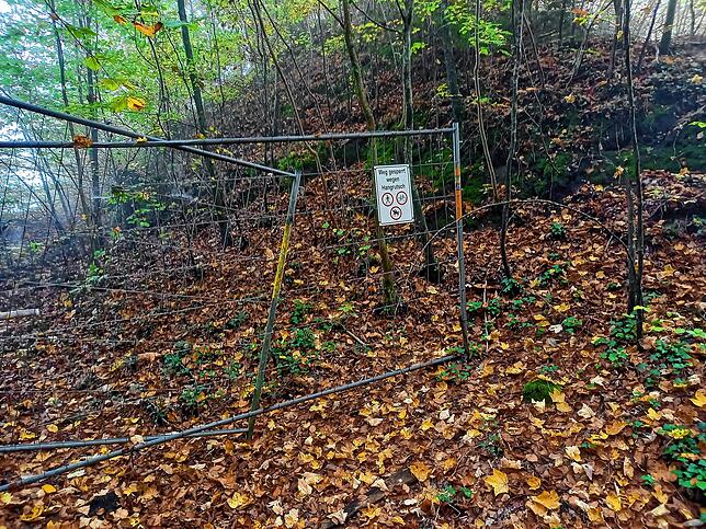 Bei der Ruine Kargegg steht diese Absperrung. Links der Weg zur Marienschlucht und rechts ist die Ruine erreichbar.